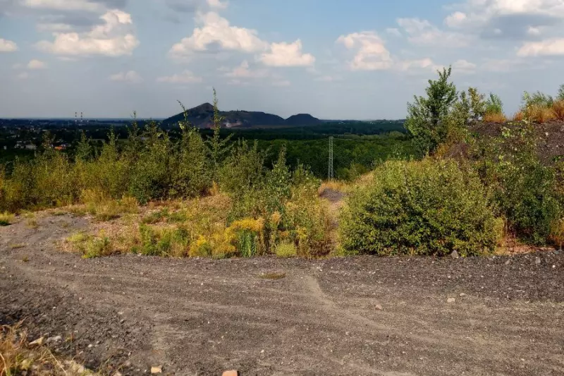 Nowe życie dla terenów poprzemysłowych. Powstaną  tereny zielone i inwestycyjne